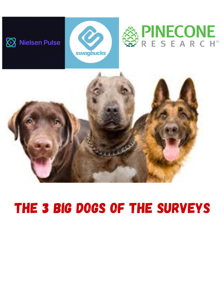 3 BEST SURVEYS FOR MAKING MONEY