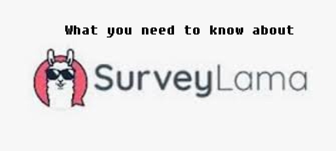 how surveylama works
