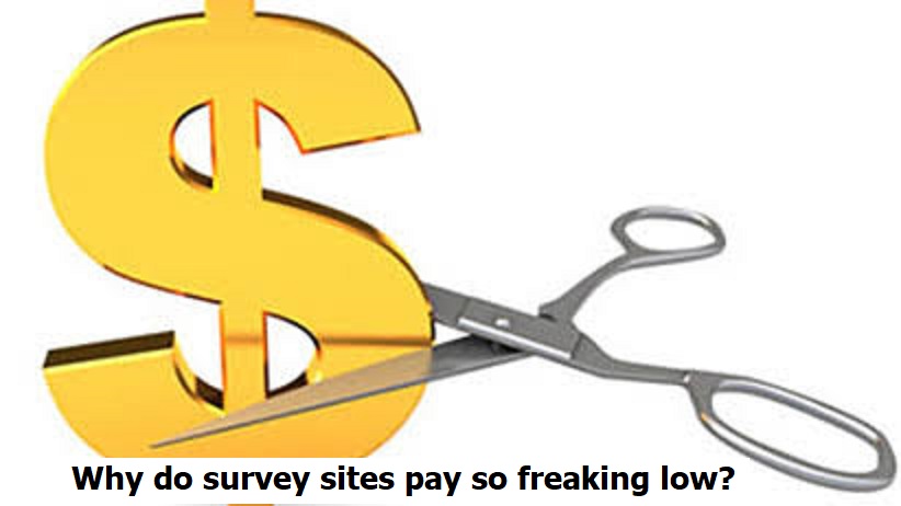 Why Do Survey Sites Pay So Low? 2026